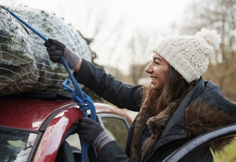 75% of drivers don't know Christmas tree transport rules - follow our guide to avoid fines