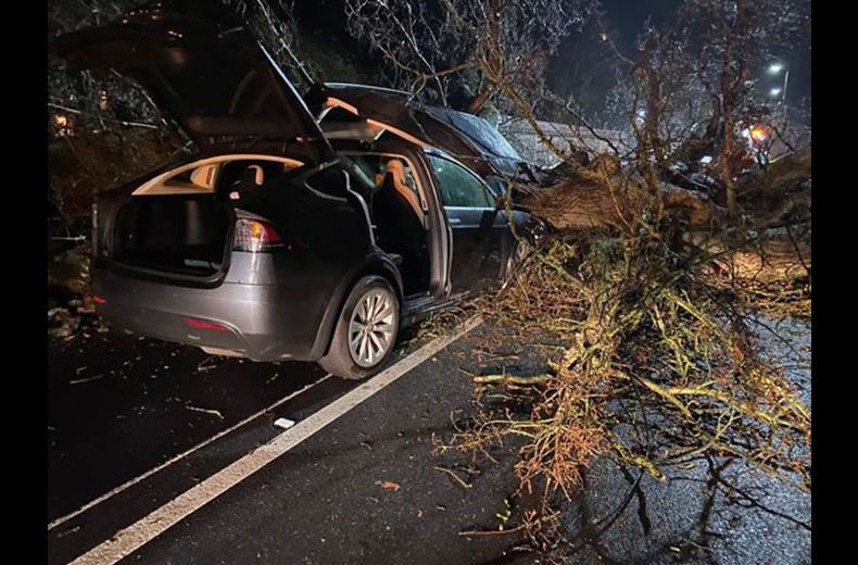 Tesla Model X’s automatic brakes just saved two families from a falling tree during Storm Dennis
