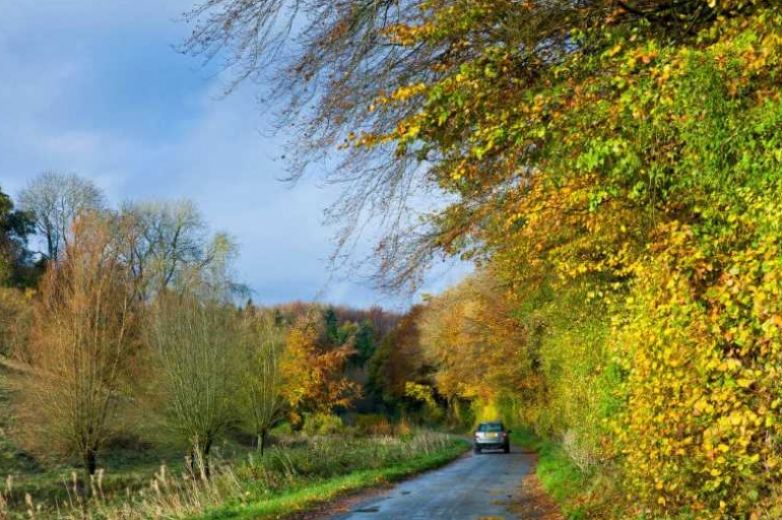 Driving on country roads – the ultimate guide