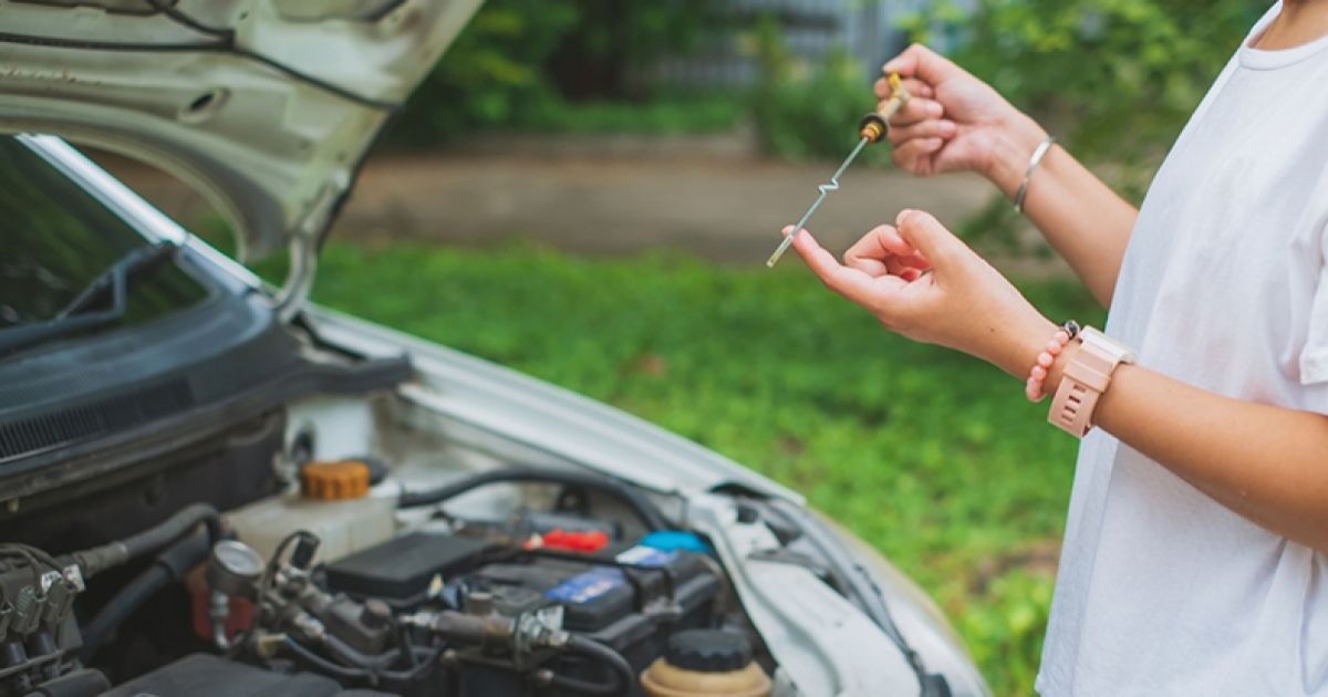 Spark plugs in a car: what you need to know, mycar advice and insights